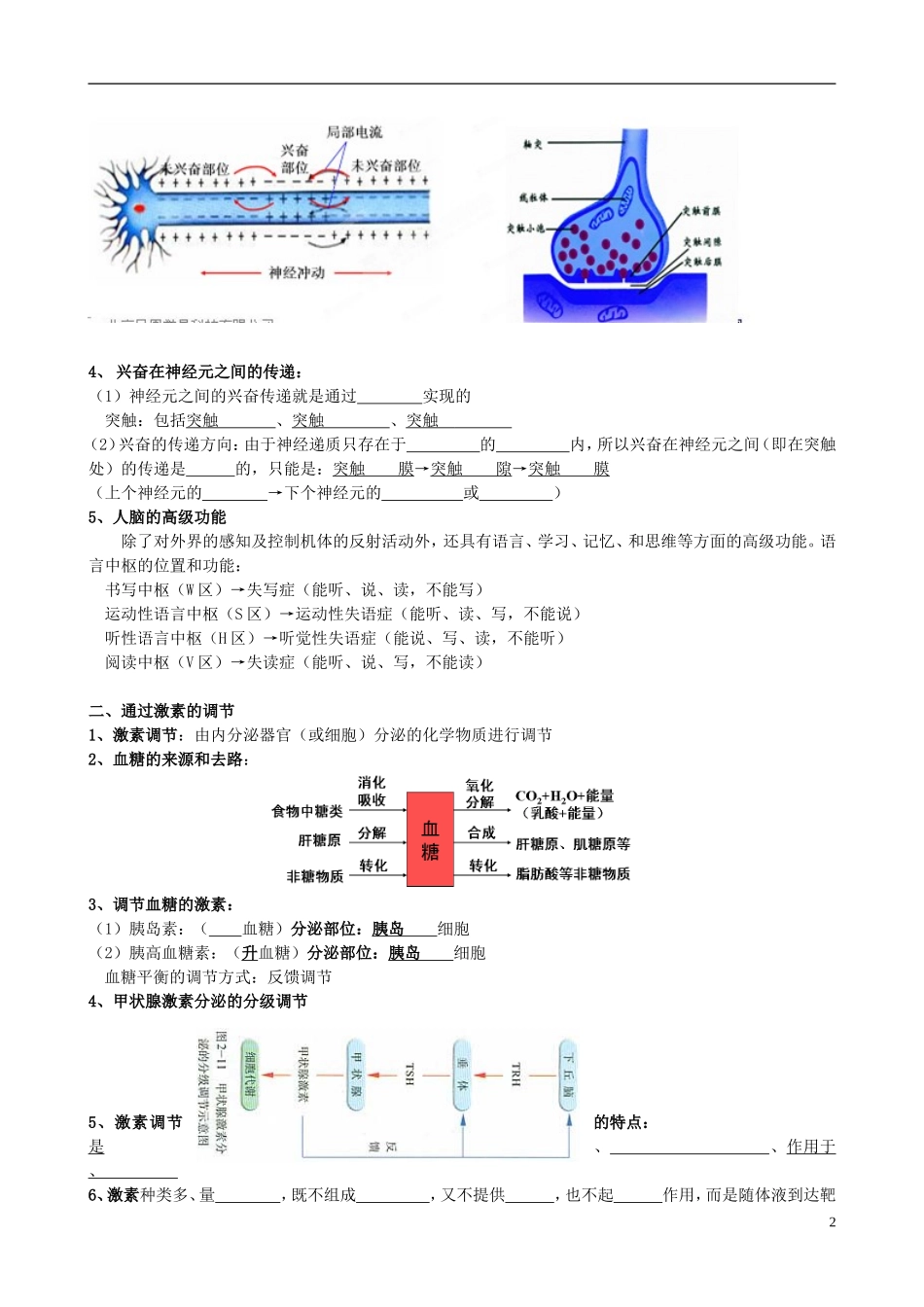 山东省淄博市淄川般阳中学高中生物 第二章《动物和人体生命活动的调节》学案 新人教版必修3 _第2页
