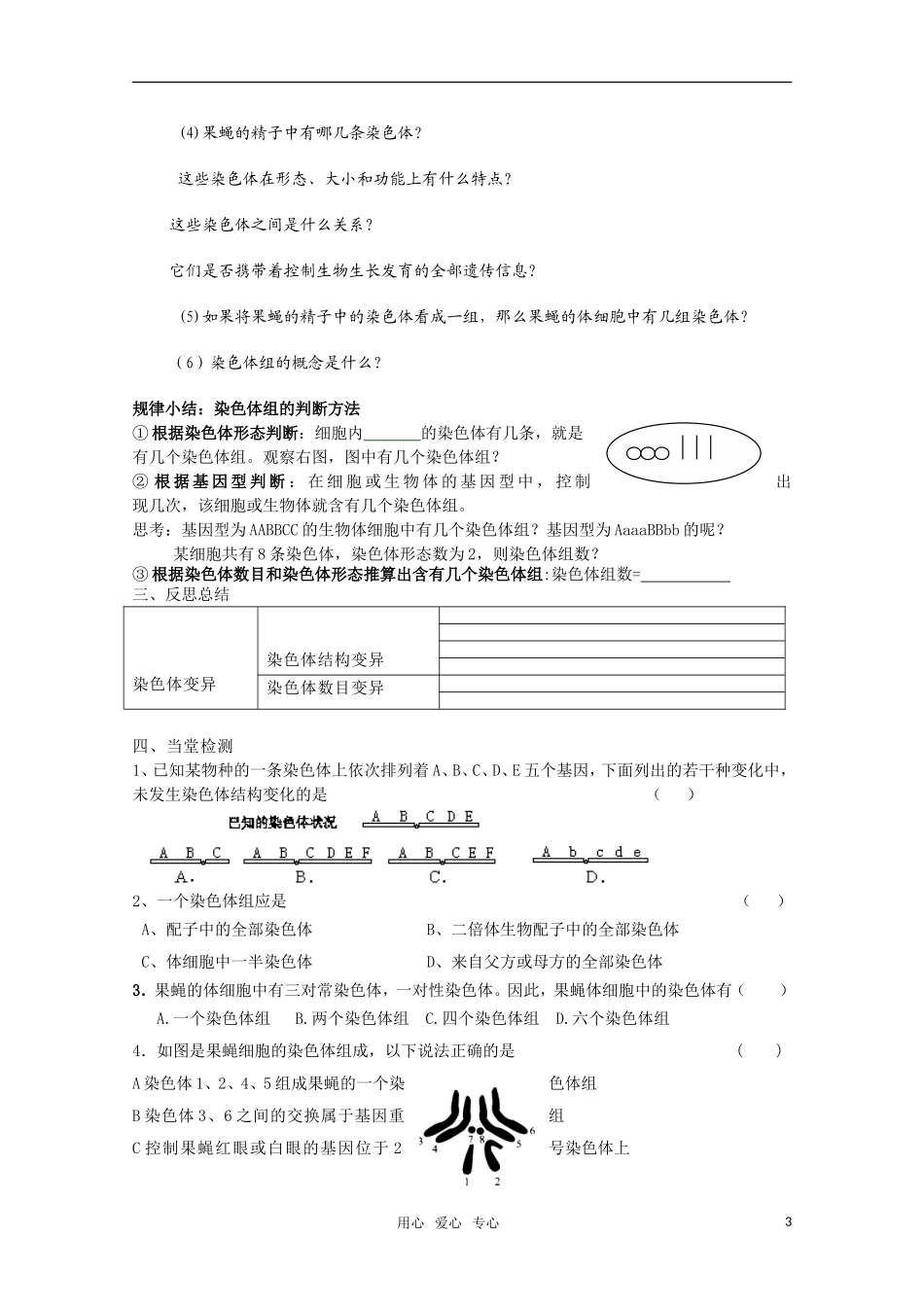 山东临清市高中生物 第五章第2节《染色体变异》导学案（1） 新人教版必修2_第3页
