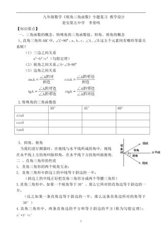 《解直角三角形》复习课教学设计