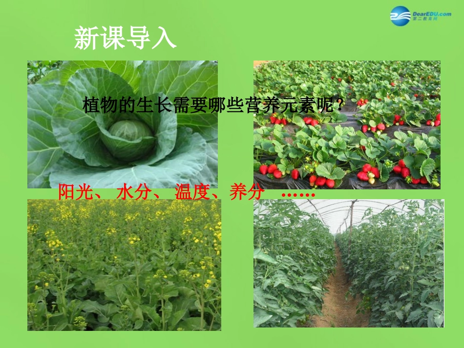 九年级化学下册 第十一单元 课题2 化学肥料（第1课时）课件 （新版）新人教版_第2页