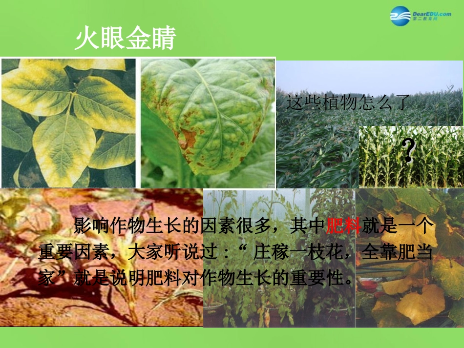 九年级化学下册 第十一单元 课题2 化学肥料（第1课时）课件 （新版）新人教版_第3页