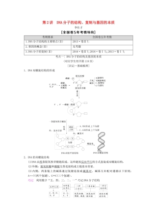 山东省高考生物 第6单元 遗传的分子基础（2）DNA分子的结构、复制与基因的本质导学案（含解析）新人教版必修2-新人教版高三必修2生物学案