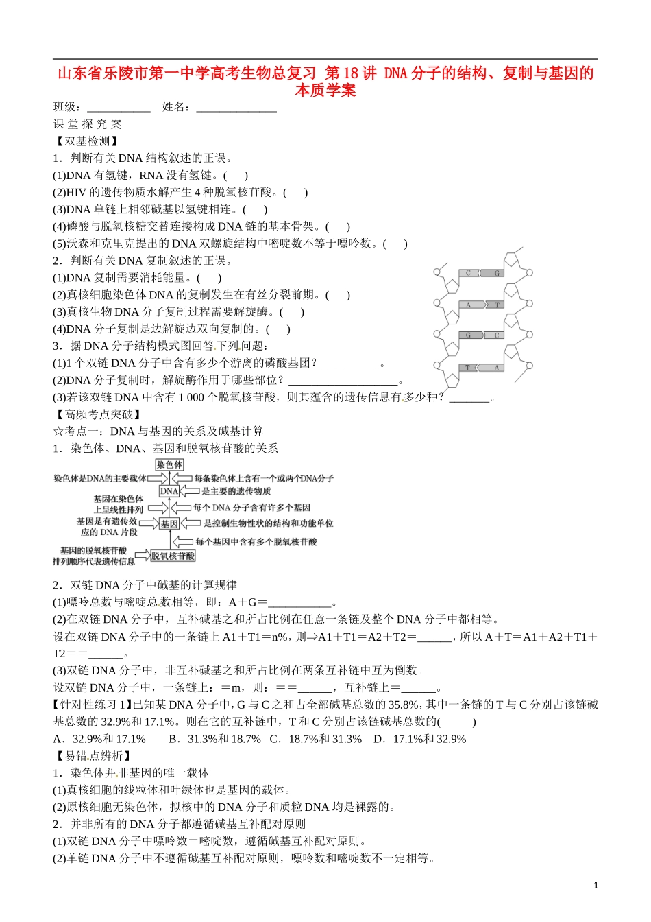 山东省乐陵市第一中学高考生物总复习 第18讲 DNA分子的结构、复制与基因的本质学案_第1页