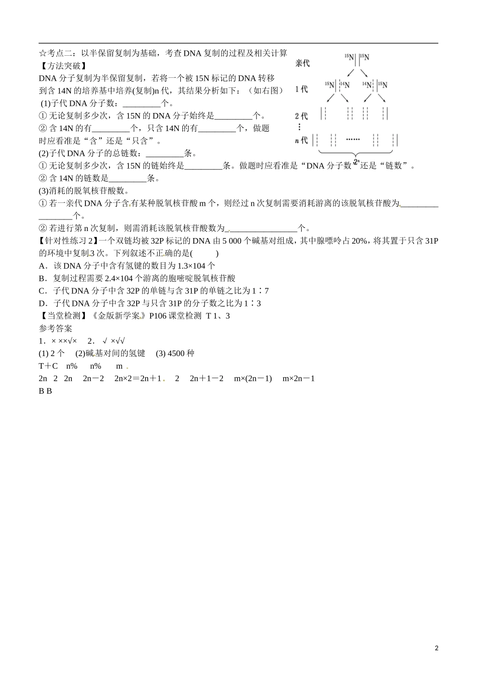 山东省乐陵市第一中学高考生物总复习 第18讲 DNA分子的结构、复制与基因的本质学案_第2页