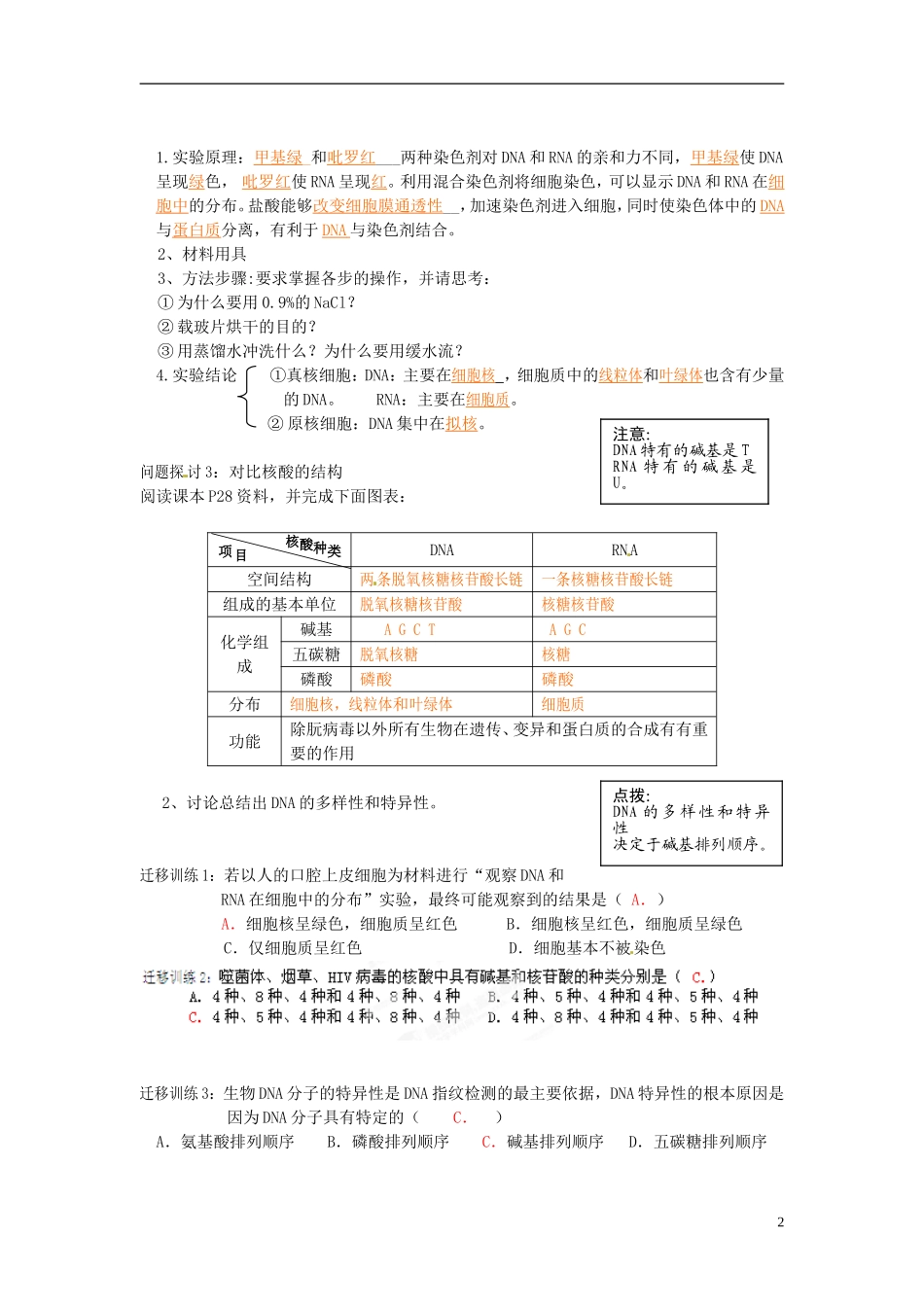 云南省宜良县第一中学高中生物 第二章第三节 遗传信息的携带者 核酸导学案 新人教版必修1_第2页