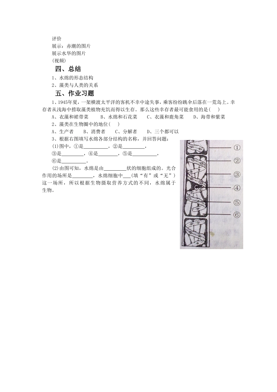 《第三节--藻类植物》教案3_第3页