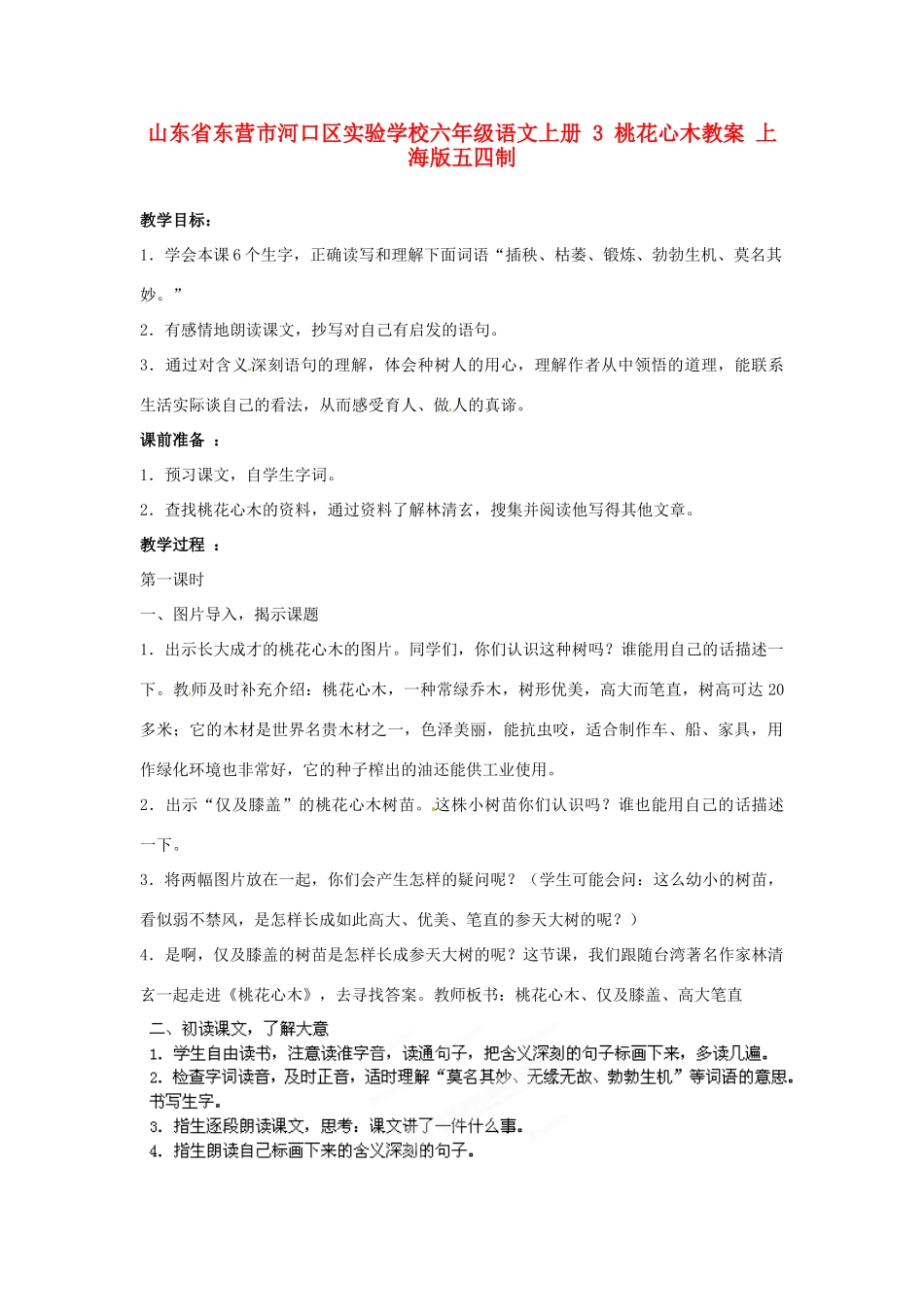 山东省东营市河口区实验学校六年级语文上册 3 桃花心木教案 上海版五四制_第1页