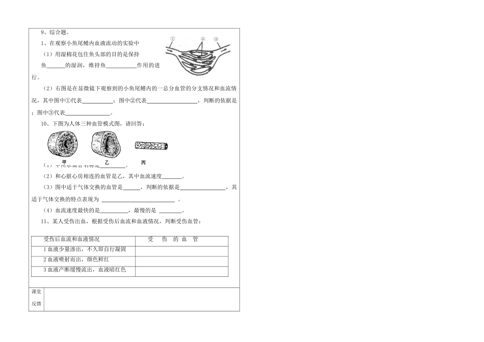 七年级生物 血液是如何流通全身的呢？体内的血管是否一样呢？教案冀教版_第3页