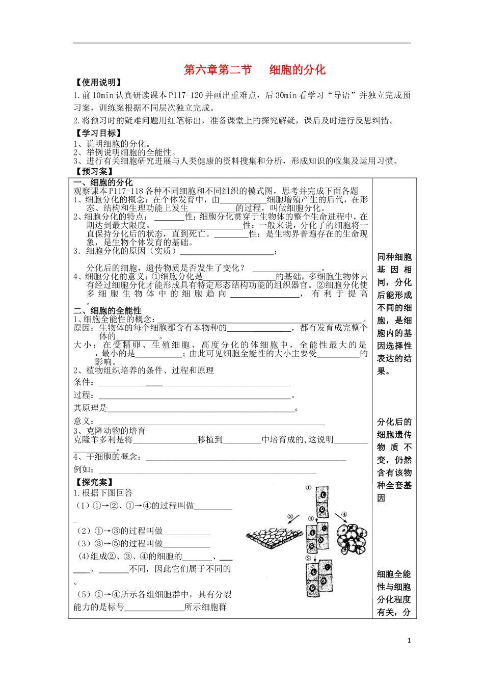 山东省文登市教育教学研究培训中心高中生物 第六章第二节  细胞的分化学案 新人教版必修1_第1页