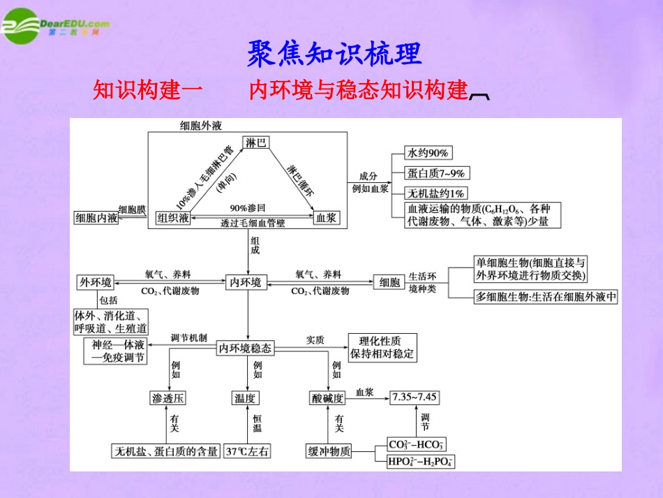 2011届高考生物-考点专题复习课件31_第3页