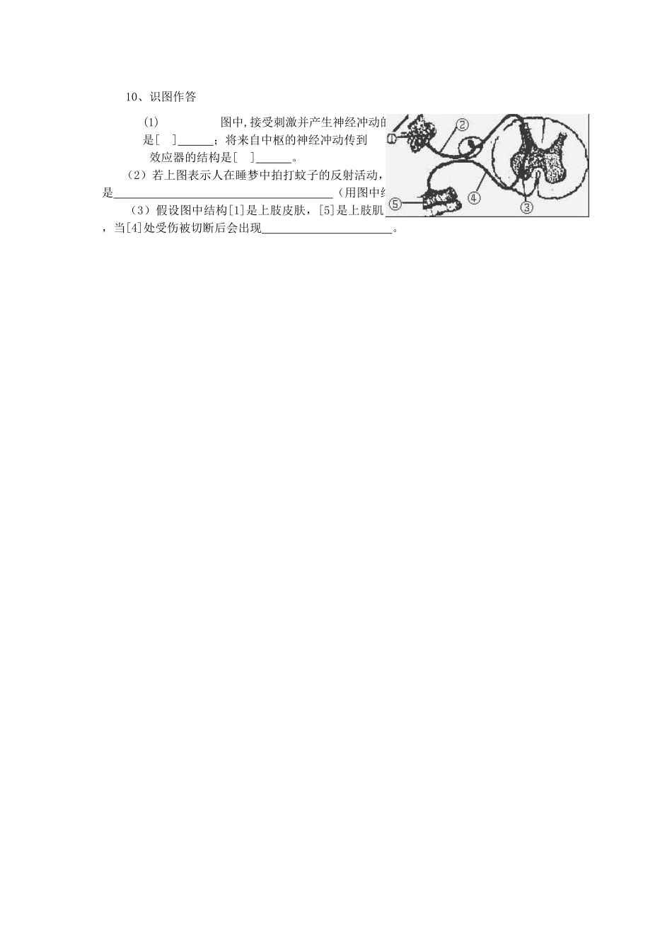 七年级生物下第三节神经调节的基本方式导学提纲教案人教版_第3页