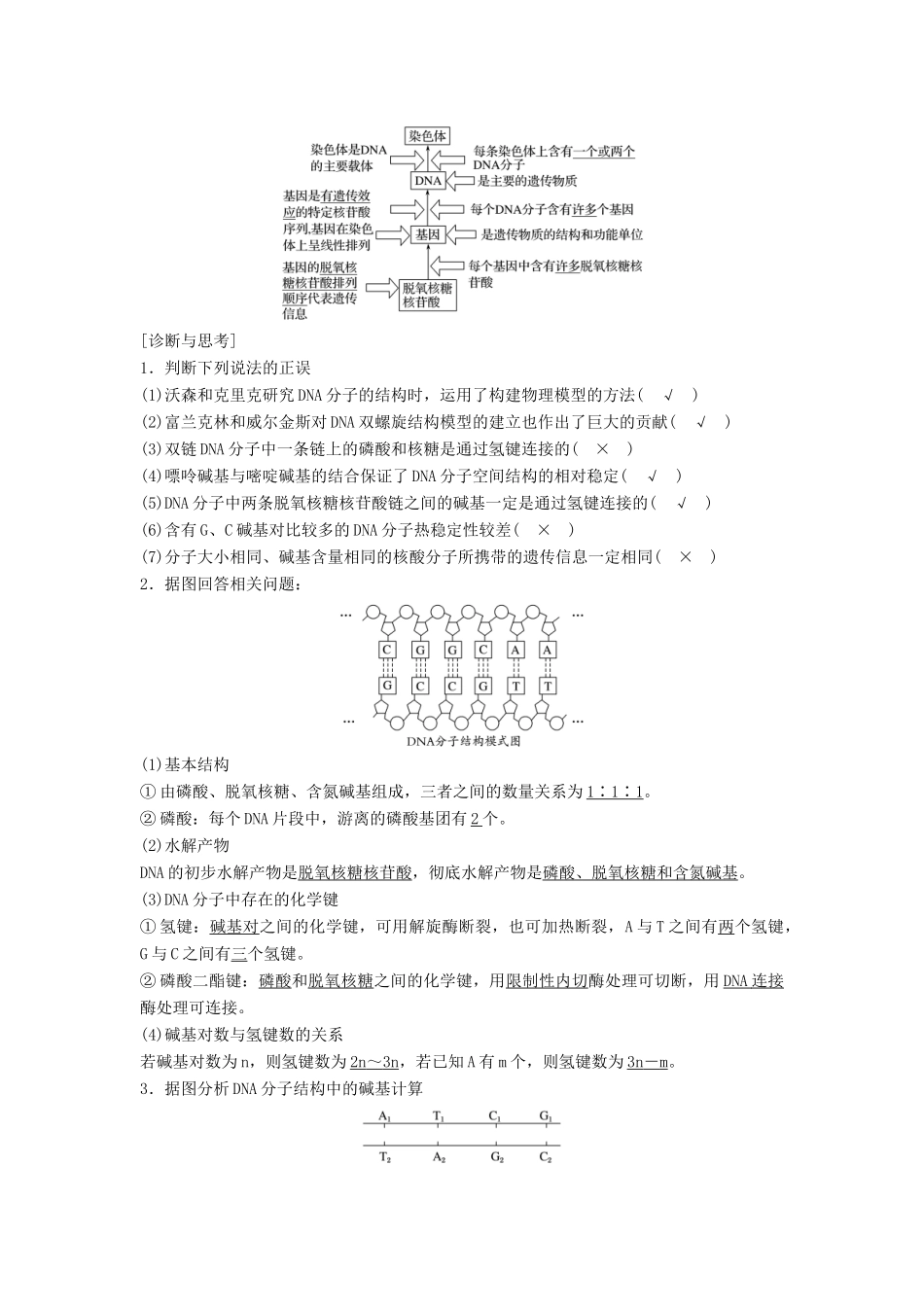 新高考生物一轮复习 第五单元 遗传分子的基础 第17讲 DNA分子的结构、复制及基因的本质学案（含解析）北师大版-北师大版高三全册生物学案_第2页