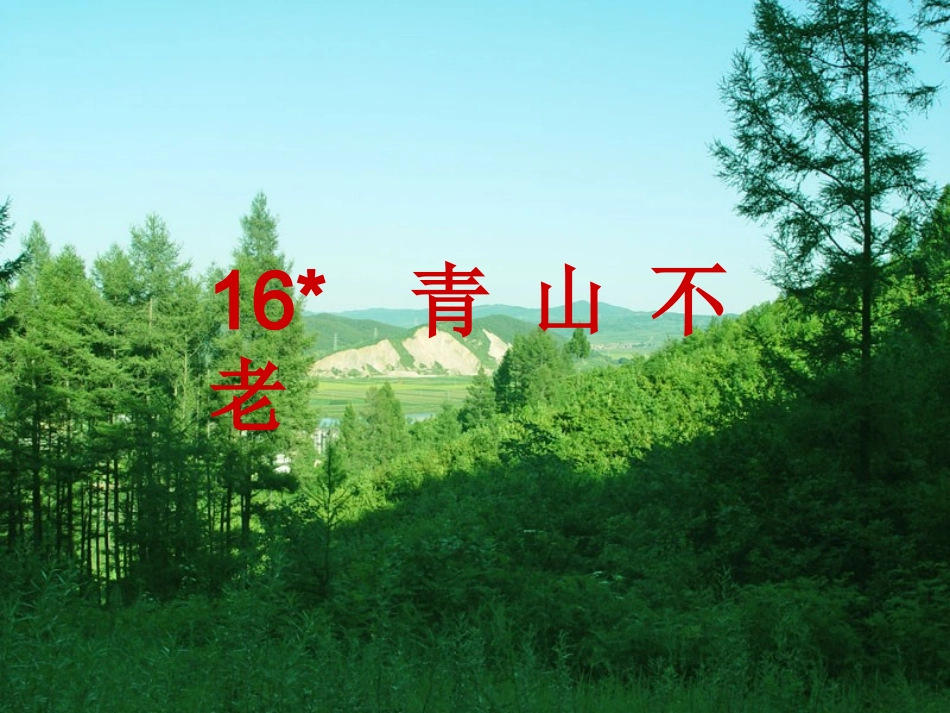 16、青山不老_第1页