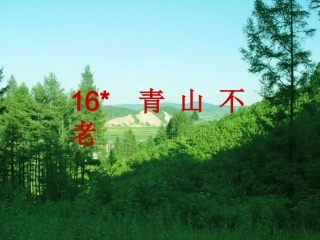 16、青山不老