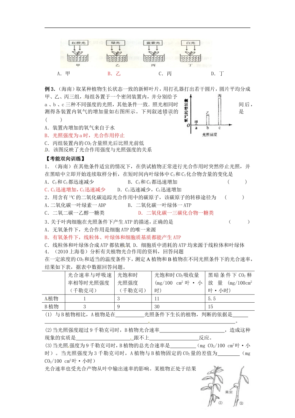 浙江省温州市永嘉中学教育集团楠江校区高三生物 光合作用复习学案_第3页