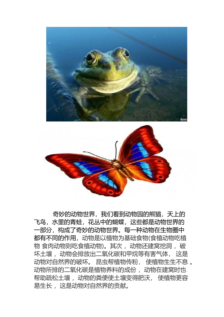 奇妙的动物世界_第2页
