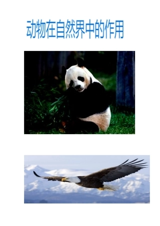 奇妙的动物世界