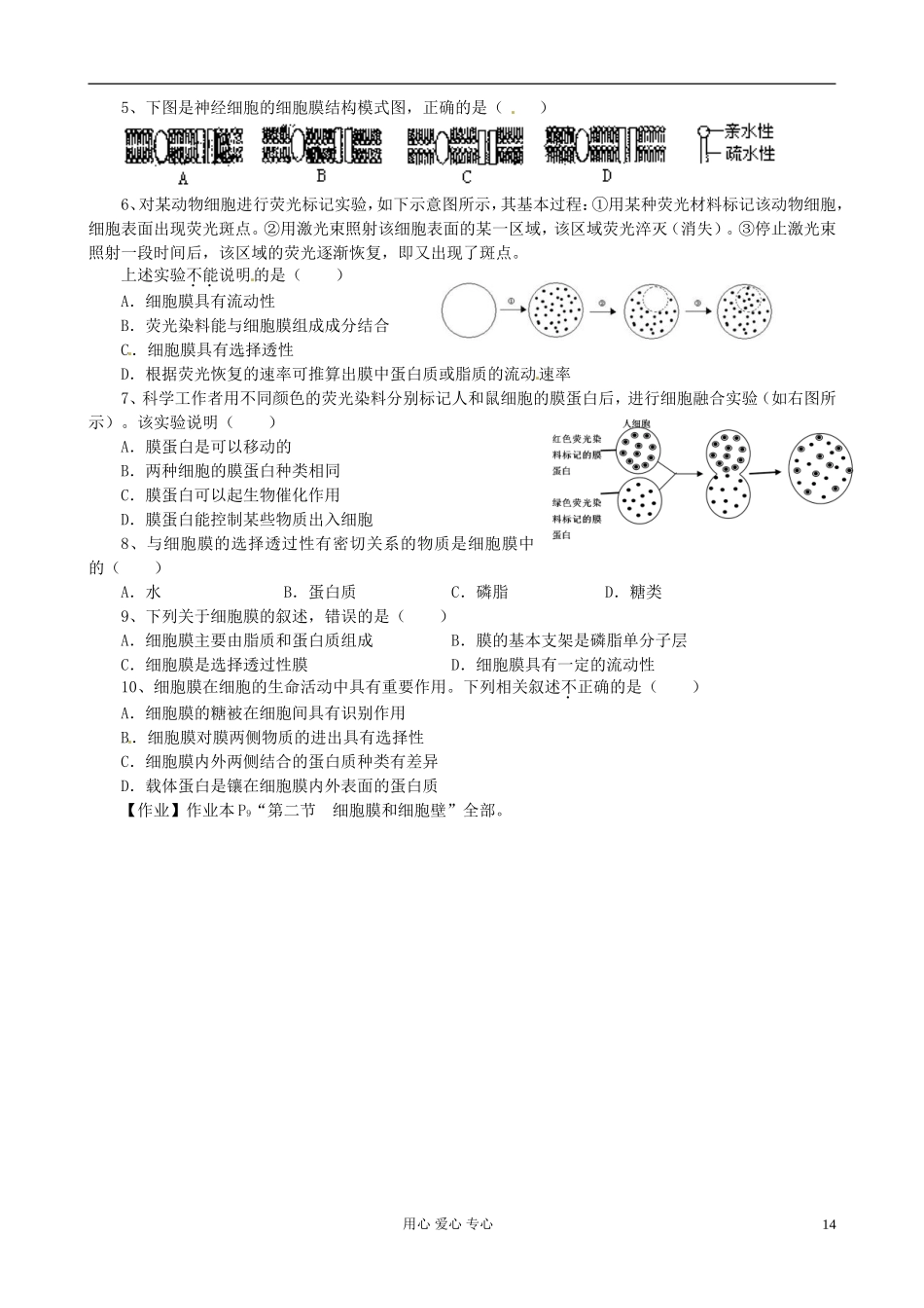 浙江省临海市白云高级中学高二生物《细胞膜与细胞壁》导学案_第2页
