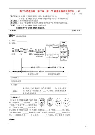 山东省文登市教育教学研究培训中心高中生物 第二章 第一节 减数分裂和受精作用 （3）学案 新人教版必修2