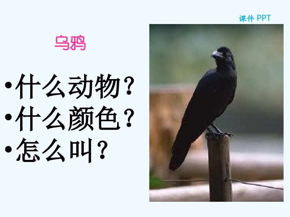 (部编)人教2011课标版一年级上册乌鸦喝水ppt-(2)_第1页