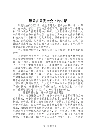 领导在县委全会上的讲话发言