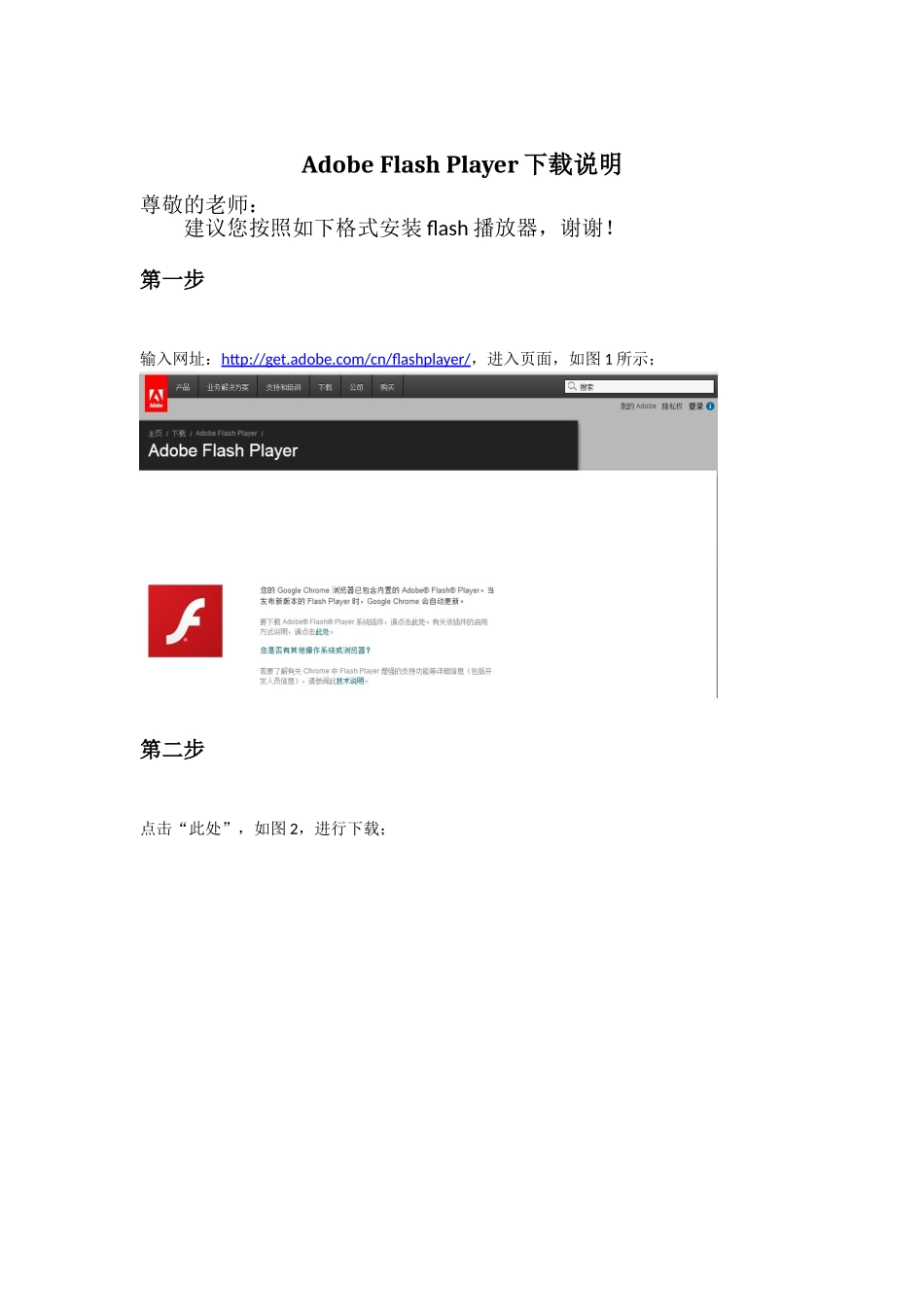 AdobeFlashPlayer_第1页
