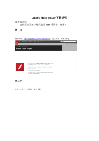 AdobeFlashPlayer