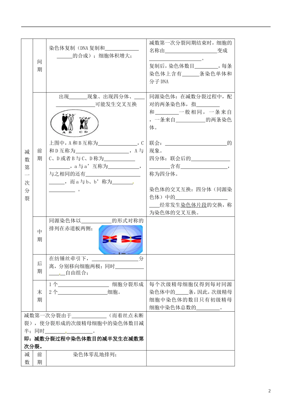 陕西省咸阳市泾阳县云阳中学高中生物 2.1 减数分裂与受精作用（第一课时）导学案 新人教版必修2 _第2页