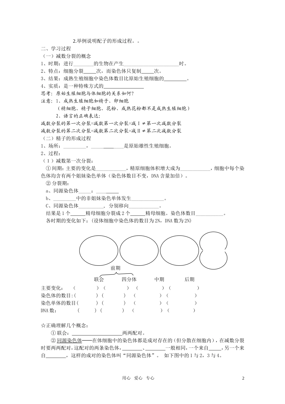 山东临清市高中生物 第二章第1节《减数分裂》导学案1 新人教版必修1_第2页