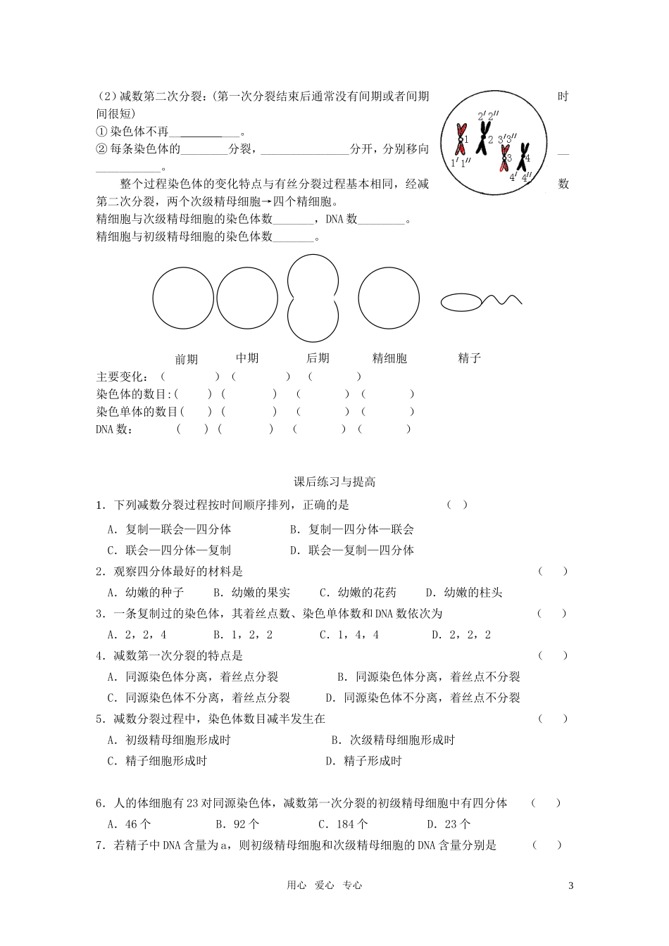 山东临清市高中生物 第二章第1节《减数分裂》导学案1 新人教版必修1_第3页