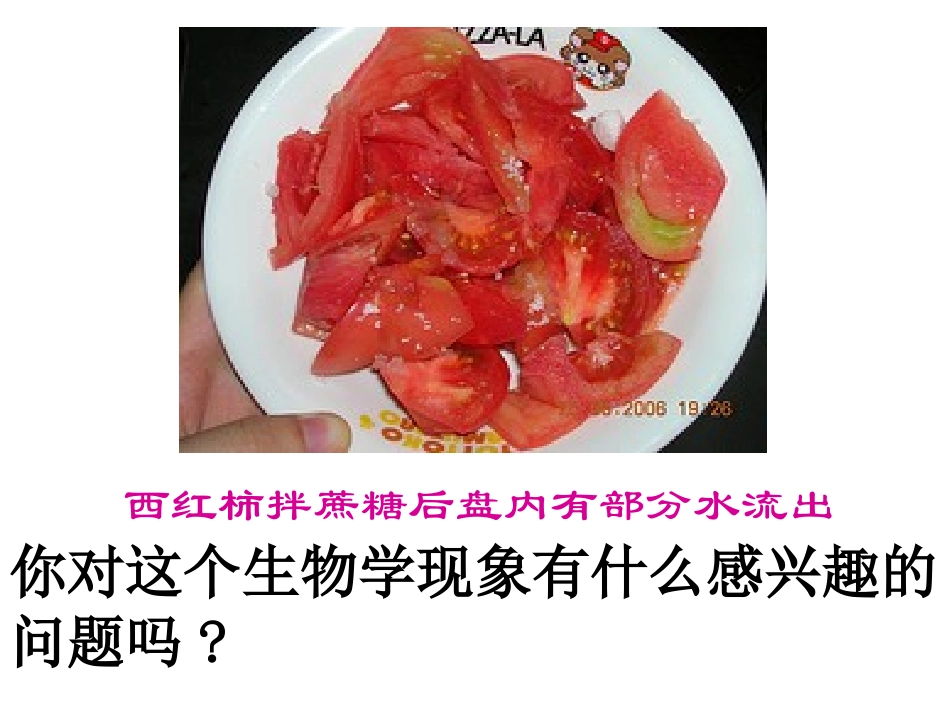 市课：物质的跨膜运输_第2页