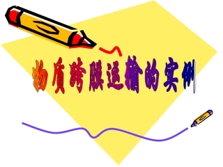 市课：物质的跨膜运输