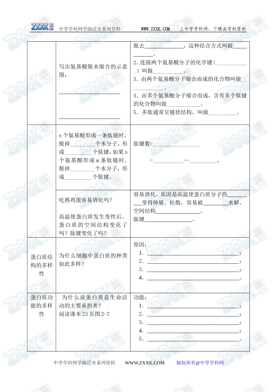 新人教必修1高中生物学案04第2章第2节 生命活动的主要承担者----蛋白质_第2页