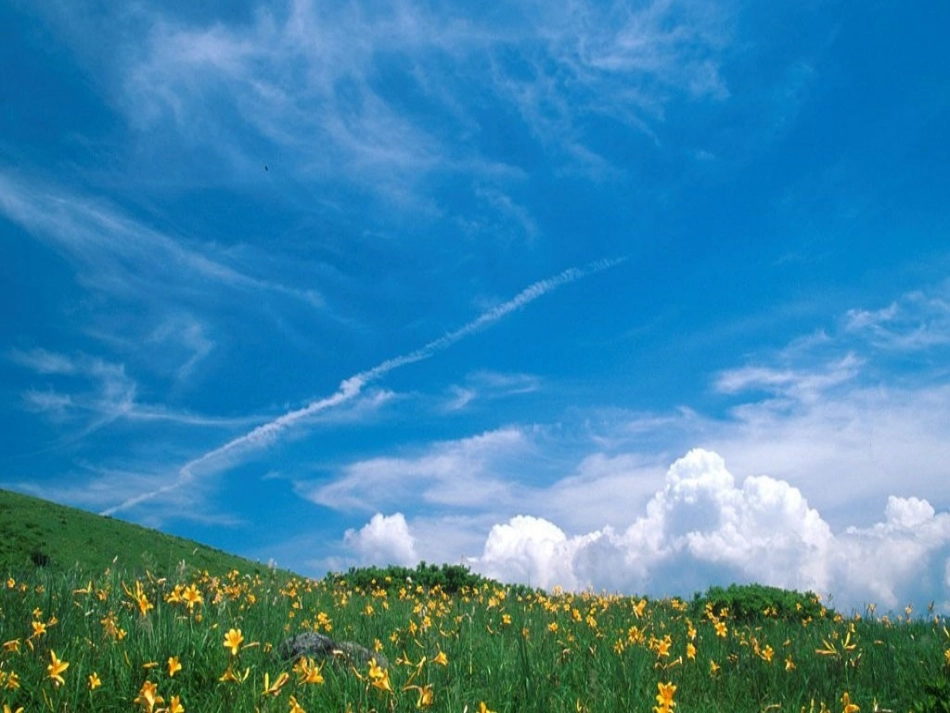 206看云识天气_第2页