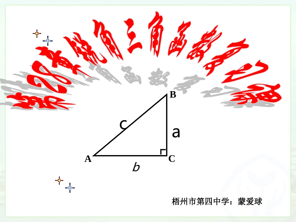《第二十八章-锐角三角函数复习课(第一课时)》_第1页