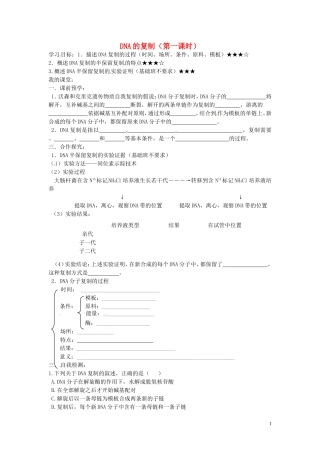 山东省德州市高中生物 DNA的复制（第一课时）学案 新人教版必修2