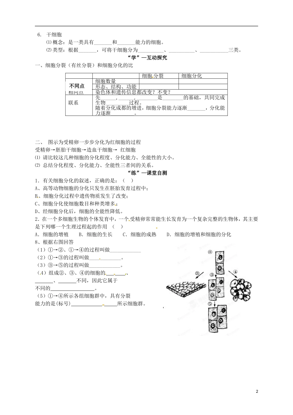 江西省吉安市井冈山大学附中高中生物《第二节 细胞的分化》导学案 新人教版必修1_第2页