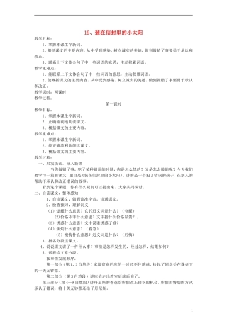 五年级语文上册 装在信封里的小太阳教案 语文S版