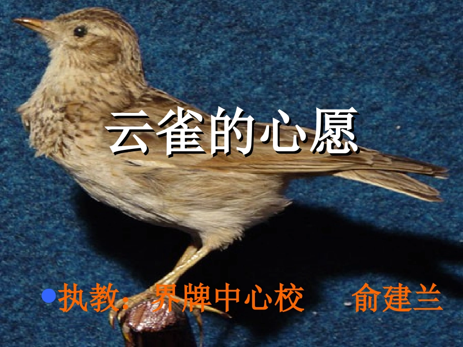 (俞建兰)云雀的心愿0_第1页