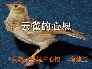 (俞建兰)云雀的心愿0