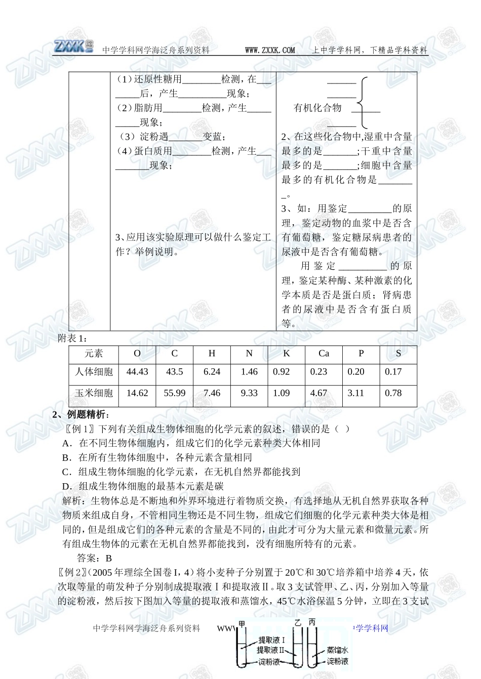 新人教必修1高中生物学案03第2章第1节 组成细胞的分子_第2页