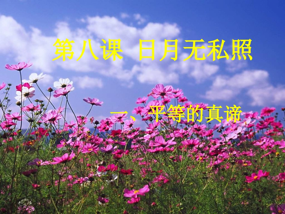 自由平等的真谛-(2)_第1页