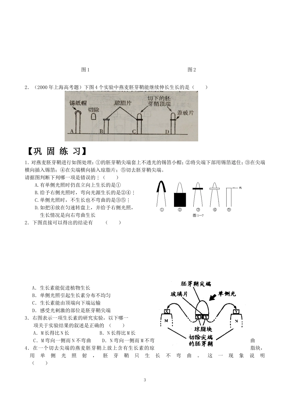 植物生长素的发现_第3页