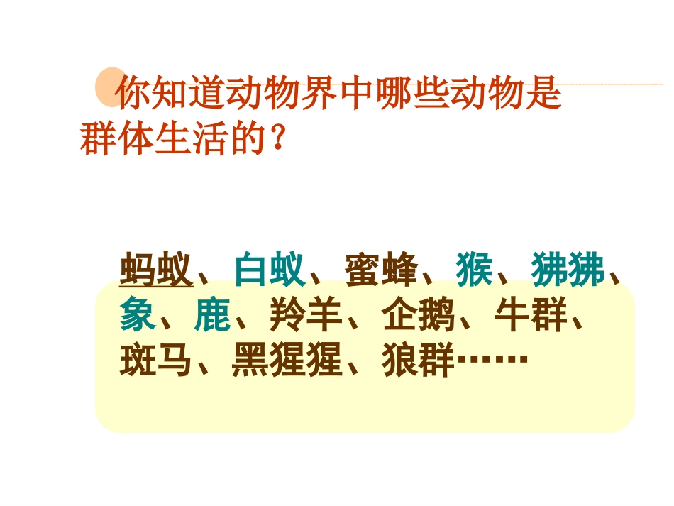 第三节社会行为PPT课件_第2页