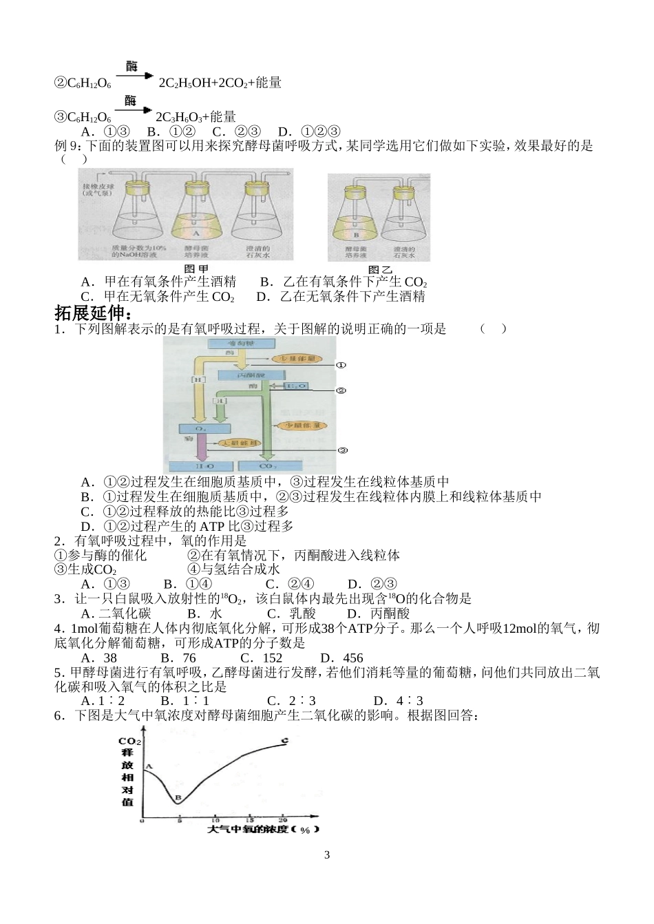 细胞的能量供应和利用2_第3页
