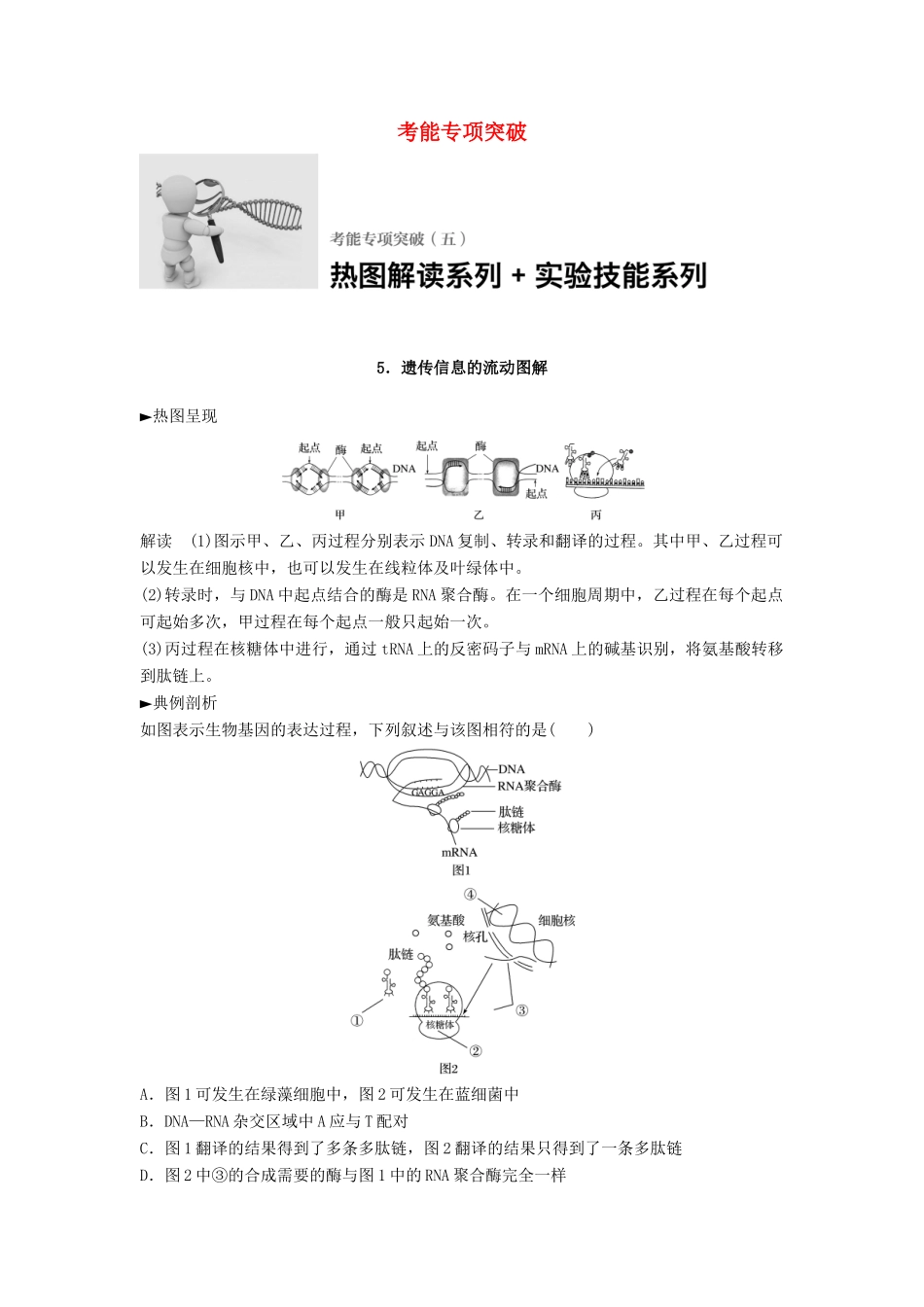新高考生物一轮复习 考能专项突破（五）学案（含解析）北师大版-北师大版高三全册生物学案_第1页
