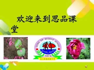 走依法治国之路