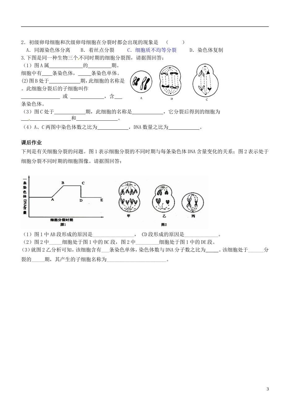 陕西省咸阳市泾阳县云阳中学高中生物 2.1 减数分裂与受精作用（第二课时）导学案 新人教版必修2 _第3页