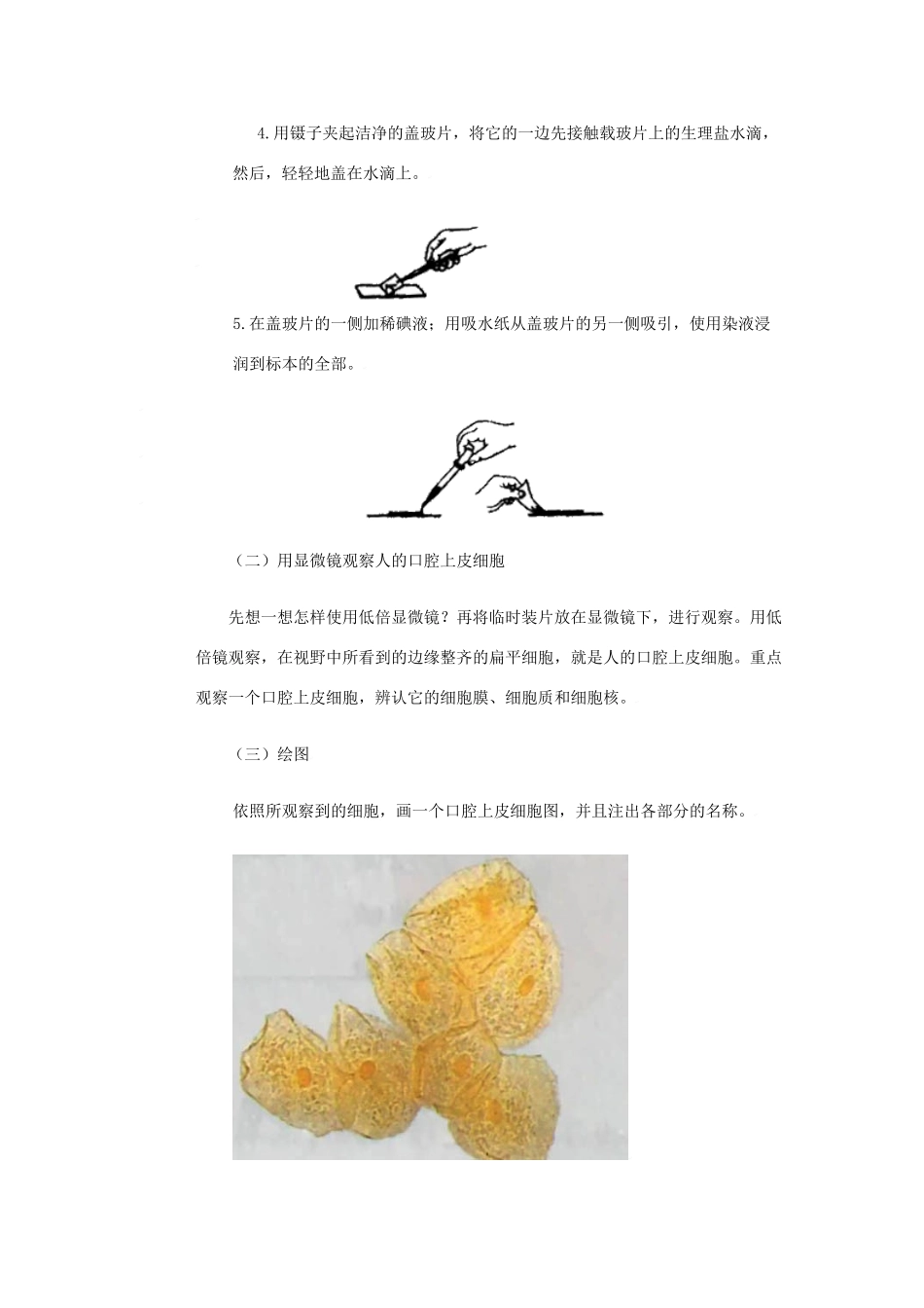 七年级生物上：3-2人和动物细胞的结构和功能教案苏教版_第2页