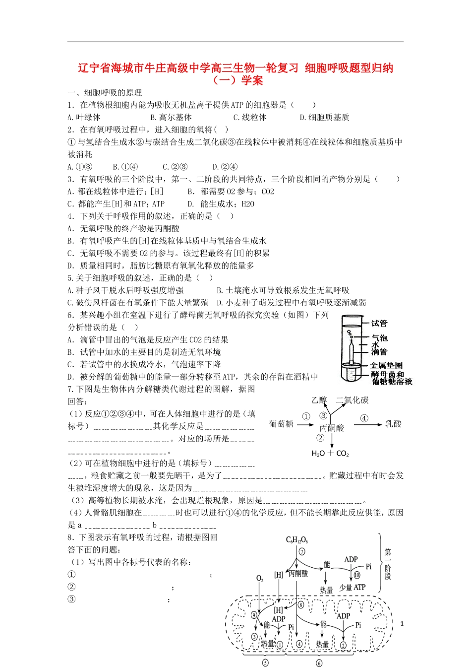 辽宁省海城市牛庄高级中学高三生物一轮复习 细胞呼吸题型归纳（一）学案_第1页